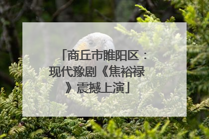 商丘市睢阳区：现代豫剧《焦裕禄》震撼上演