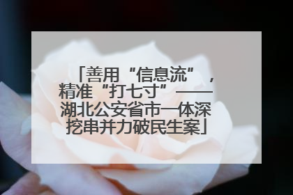 善用“信息流”，精准“打七寸”——湖北公安省市一体深挖串并力破民生案