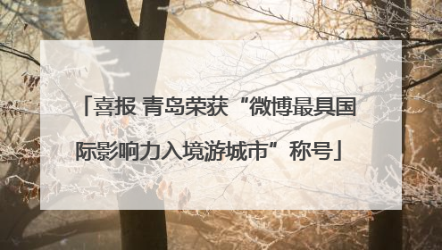 喜报 青岛荣获“微博最具国际影响力入境游城市”称号