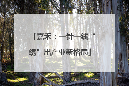 嘉禾：一针一线“绣”出产业新格局