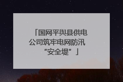 国网平舆县供电公司筑牢电网防汛“安全堤”