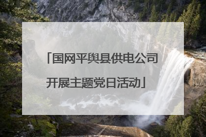 国网平舆县供电公司开展主题党日活动