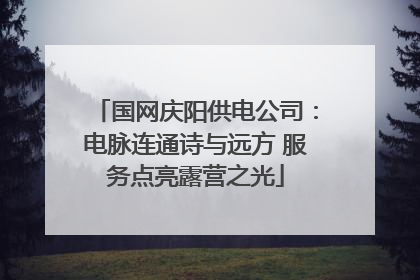 国网庆阳供电公司：电脉连通诗与远方 服务点亮露营之光