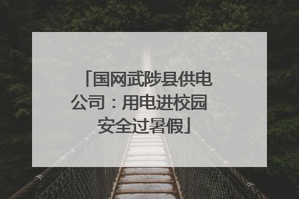 国网武陟县供电公司：用电进校园  安全过暑假