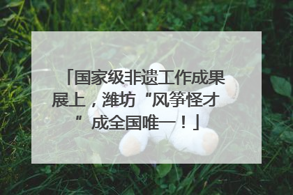 国家级非遗工作成果展上，潍坊“风筝怪才”成全国唯一！