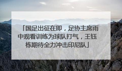 国足出征在即，足协主席雨中观看训练为球队打气，王钰栋期待全力冲击印尼队