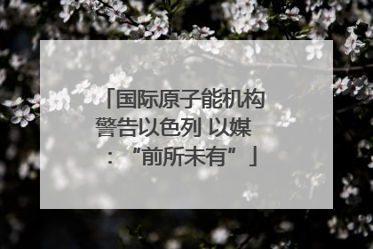 国际原子能机构警告以色列 以媒：“前所未有”