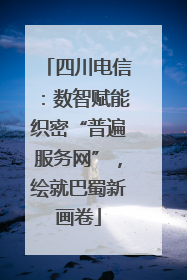 四川电信：数智赋能织密“普遍服务网”，绘就巴蜀新画卷