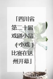 四川省第二十届戏剧小品（小戏）比赛在达州开幕