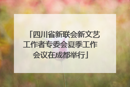 四川省新联会新文艺工作者专委会夏季工作会议在成都举行