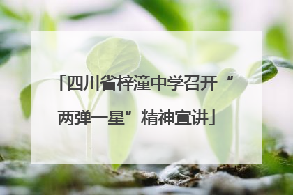 四川省梓潼中学召开“两弹一星”精神宣讲
