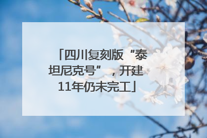 四川复刻版“泰坦尼克号”，开建11年仍未完工