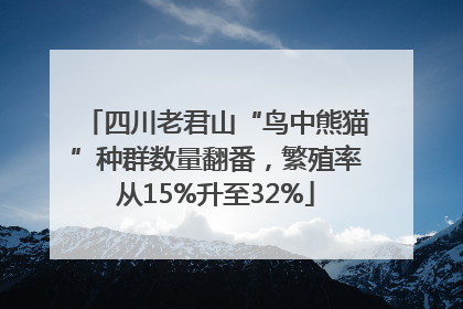 四川老君山“鸟中熊猫”种群数量翻番，繁殖率从15%升至32%