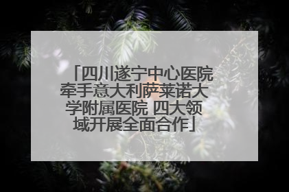 四川遂宁中心医院牵手意大利萨莱诺大学附属医院 四大领域开展全面合作