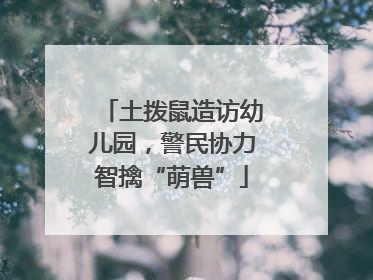土拨鼠造访幼儿园，警民协力智擒“萌兽”