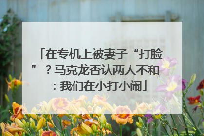 在专机上被妻子“打脸”？马克龙否认两人不和：我们在小打小闹