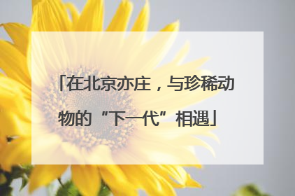 在北京亦庄，与珍稀动物的“下一代”相遇