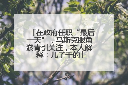 在政府任职“最后一天”，马斯克眼角淤青引关注，本人解释：儿子干的