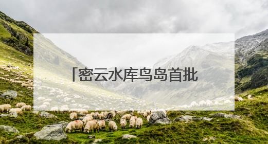 密云水库鸟岛首批幼鸟成功离巢试飞