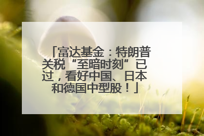 富达基金：特朗普关税“至暗时刻”已过，看好中国、日本和德国中型股！