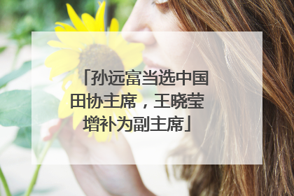 孙远富当选中国田协主席，王晓莹增补为副主席