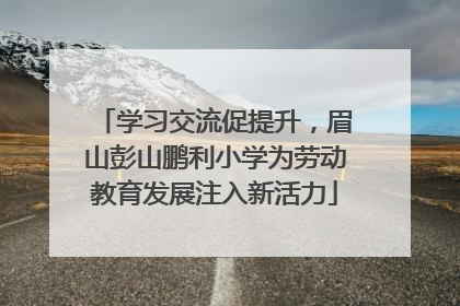 学习交流促提升，眉山彭山鹏利小学为劳动教育发展注入新活力