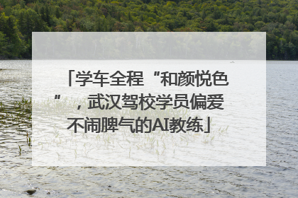 学车全程“和颜悦色”，武汉驾校学员偏爱不闹脾气的AI教练