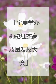 宁夏举办枸杞红茶高质量发展大会