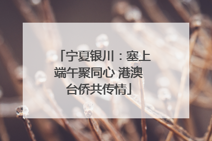 宁夏银川：塞上端午聚同心 港澳台侨共传情
