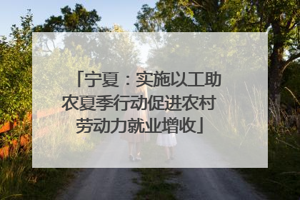 宁夏：实施以工助农夏季行动促进农村劳动力就业增收