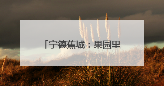 宁德蕉城：果园里来了“科特派”