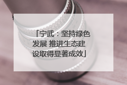 宁武：坚持绿色发展 推进生态建设取得显著成效