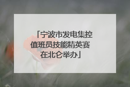 宁波市发电集控值班员技能精英赛在北仑举办
