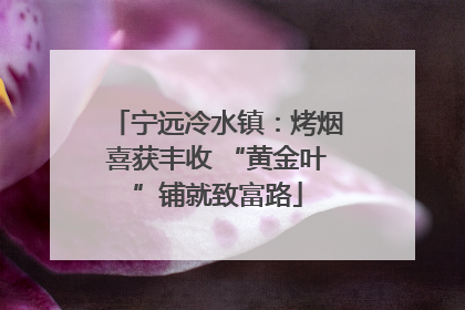 宁远冷水镇：烤烟喜获丰收 “黄金叶”铺就致富路