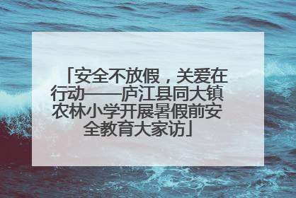 安全不放假，关爱在行动——庐江县同大镇农林小学开展暑假前安全教育大家访