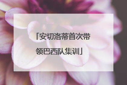 安切洛蒂首次带领巴西队集训