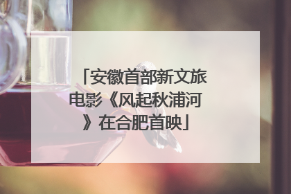 安徽首部新文旅电影《风起秋浦河》在合肥首映