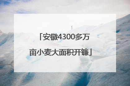 安徽4300多万亩小麦大面积开镰