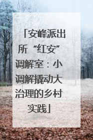 安峰派出所“红安”调解室：小调解撬动大治理的乡村实践