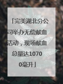 完美湖北分公司举办无偿献血活动，现场献血总量达10700毫升