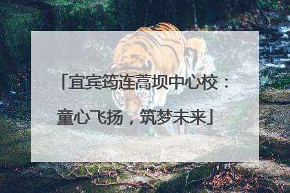 宜宾筠连蒿坝中心校：童心飞扬，筑梦未来