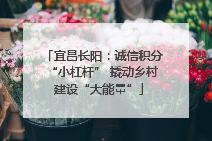 宜昌长阳：诚信积分“小杠杆” 撬动乡村建设“大能量”