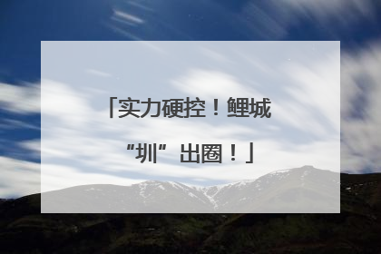 实力硬控！鲤城“圳”出圈！
