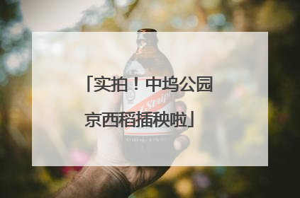 实拍！中坞公园京西稻插秧啦