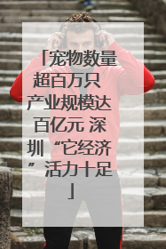 宠物数量超百万只 产业规模达百亿元 深圳“它经济”活力十足