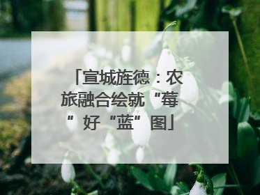宣城旌德：农旅融合绘就“莓”好“蓝”图
