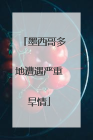 墨西哥多地遭遇严重旱情