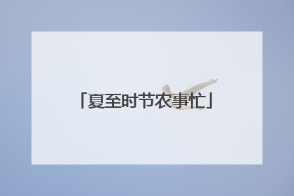 夏至时节农事忙