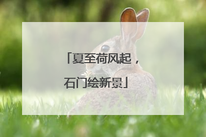 夏至荷风起，石门绘新景