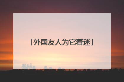 外国友人为它着迷